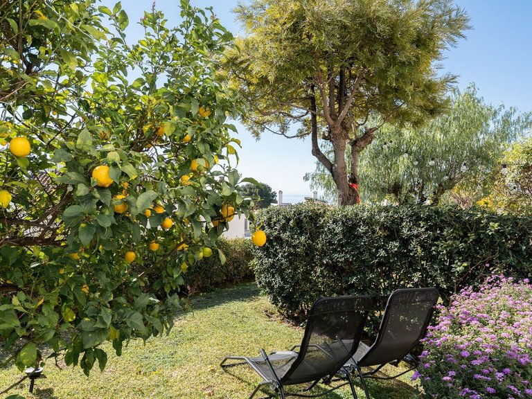 Apartment for Sale  in Mijas Costa, Malaga 31