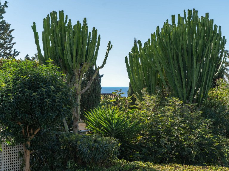 Apartment for Sale  in Marbella, Malaga 20