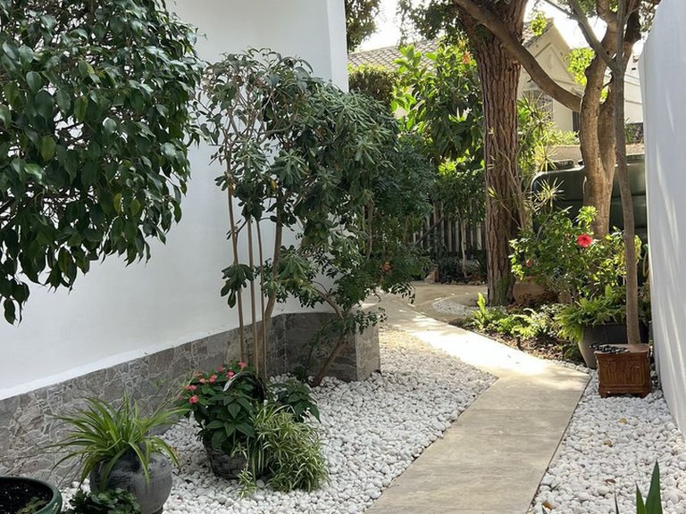 Apartment for Sale  in Marbella, Malaga 23