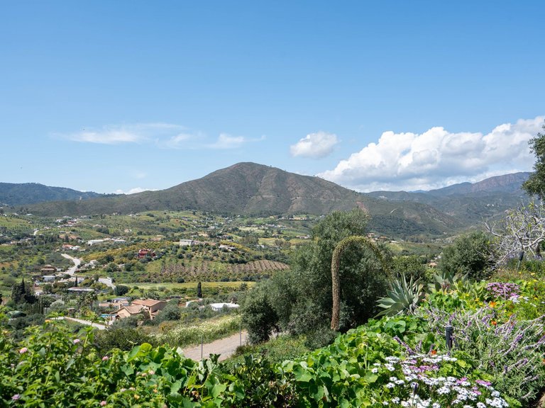 Apartment for Sale  in Mijas Costa, Malaga 41