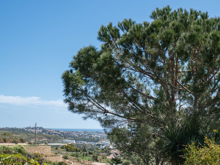 Apartment for Sale  in Mijas Costa, Malaga 40