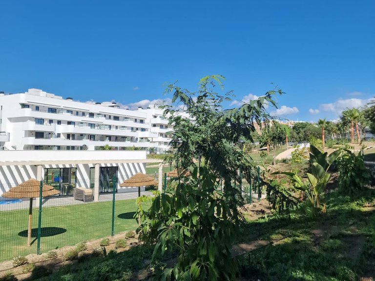 Apartment for Sale  in Estepona, Malaga 29