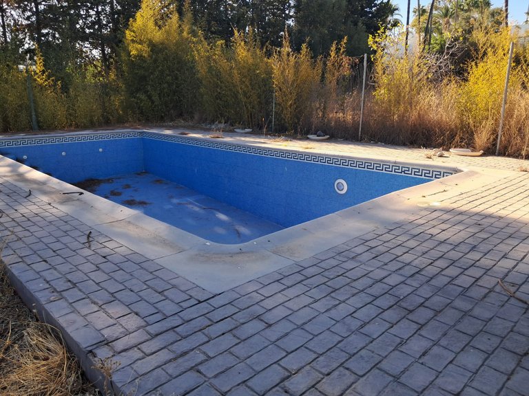 Apartment for Sale  in Estepona, Malaga 5