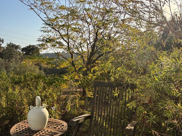 Apartment for Sale  in Estepona, Malaga 5