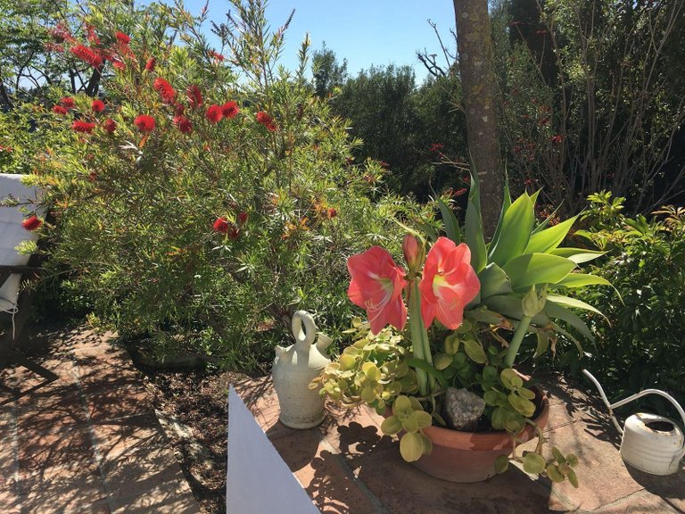Apartment for Sale  in Estepona, Malaga 14