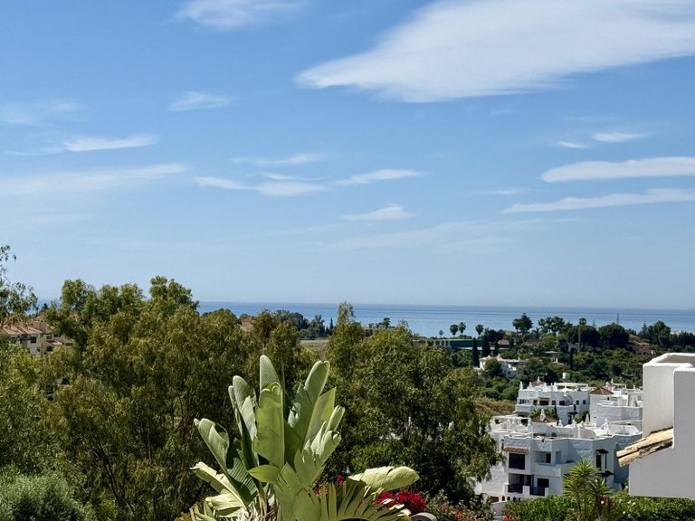 Apartment for Sale  in Estepona, Malaga 5