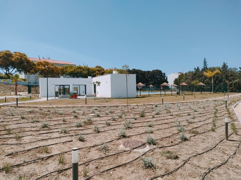 Apartment for Sale  in Estepona, Malaga 29