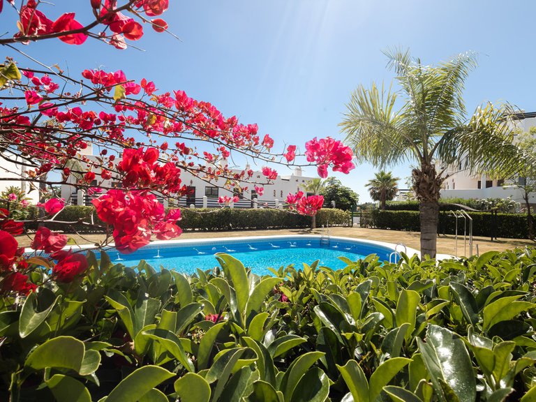 Apartment for Sale  in Estepona, Malaga 16