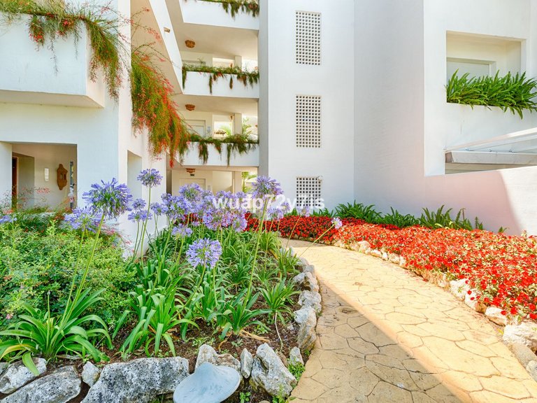 Apartment for Sale  in Estepona, Malaga 23