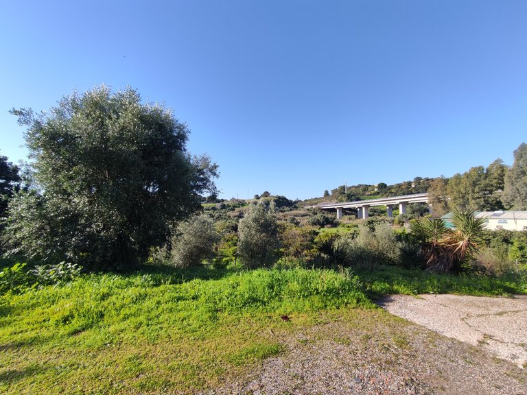 Country House for Sale in El Padron, Estepona, Malaga 16
