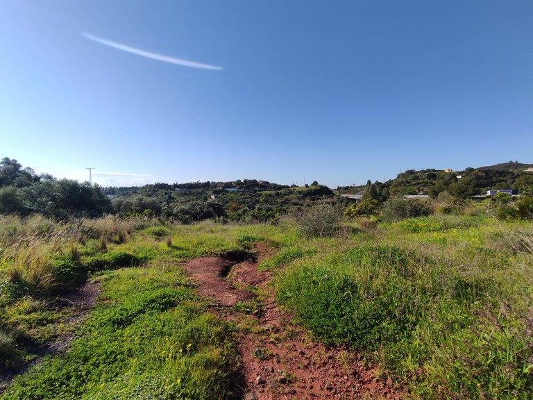 Country House for Sale in El Padron, Estepona, Malaga 13