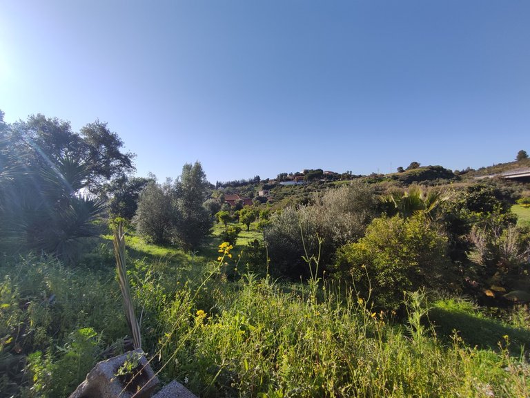 Country House for Sale in El Padron, Estepona, Malaga 10