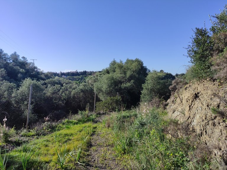 Country House for Sale in El Padron, Estepona, Malaga 12