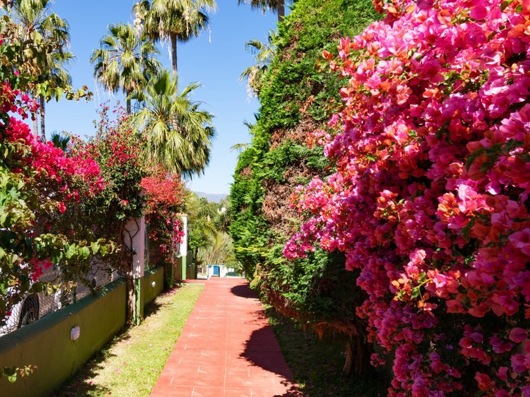 Town House for Sale in Estepona, Malaga 4