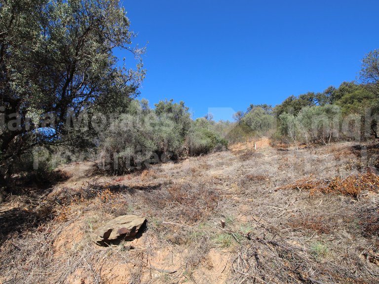 Plot for Sale in Marbella, Malaga 7