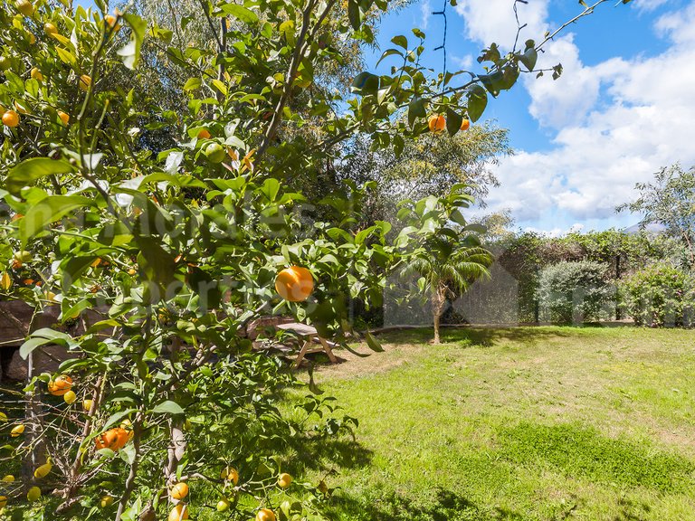 Apartment for Sale in Benahavis, Malaga 33