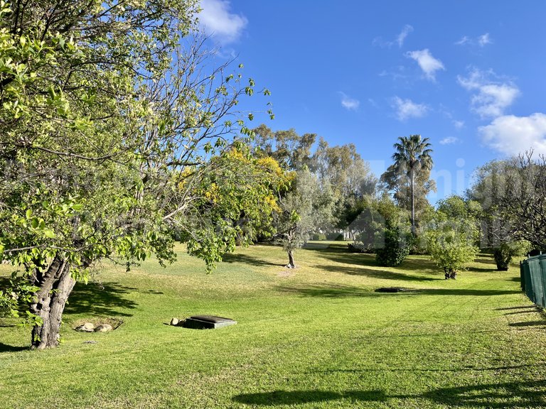 Apartment for Sale in Marbella, Malaga 32