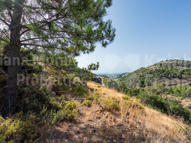 Plot for Sale in Benahavis, Malaga 19