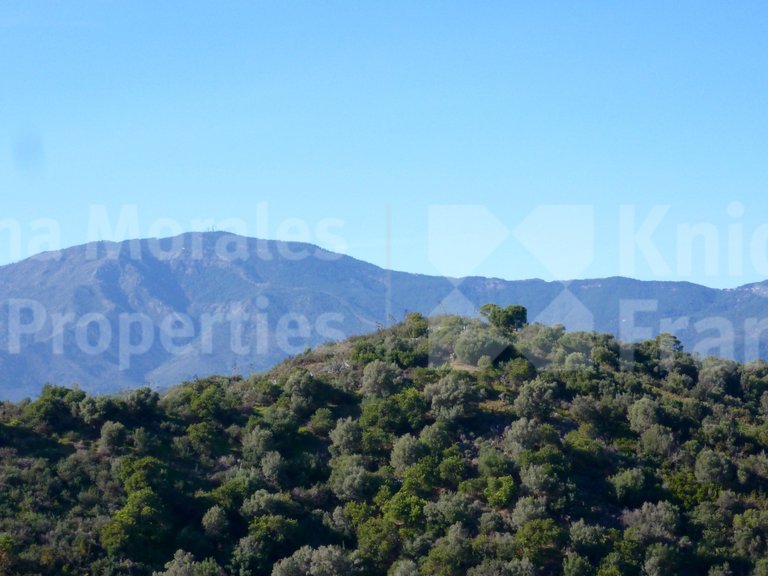 Plot for Sale in Estepona, Malaga 4