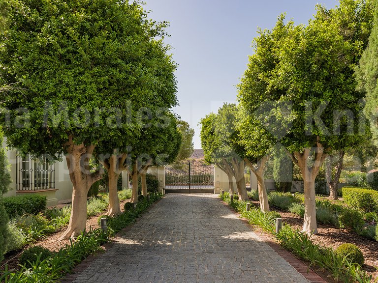 Villa for Rent in Marbella, Malaga 31
