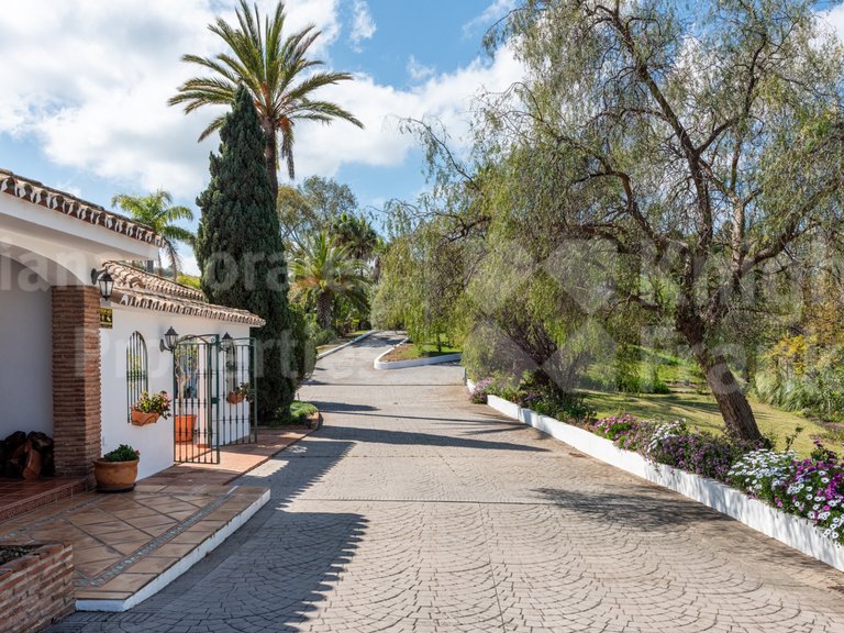 Villa for Sale in Mijas Costa, Malaga 8