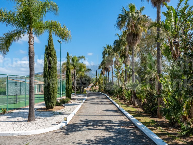 Villa for Sale in Mijas Costa, Malaga 6
