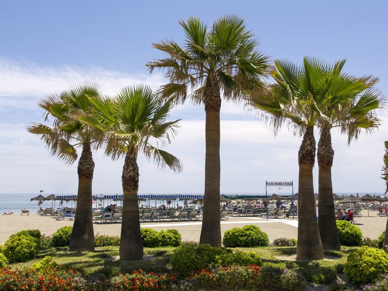 Apartment for Sale in Mijas Costa, Malaga 25