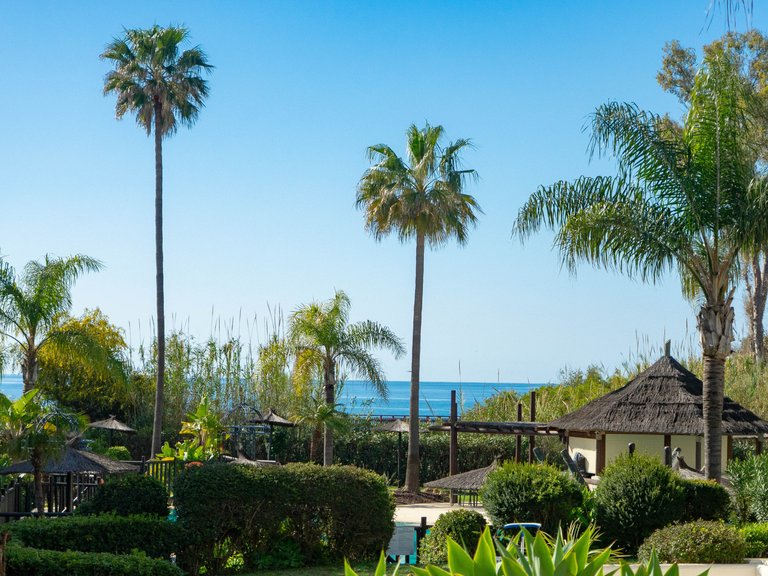 Apartment for Sale in Estepona, Malaga 2