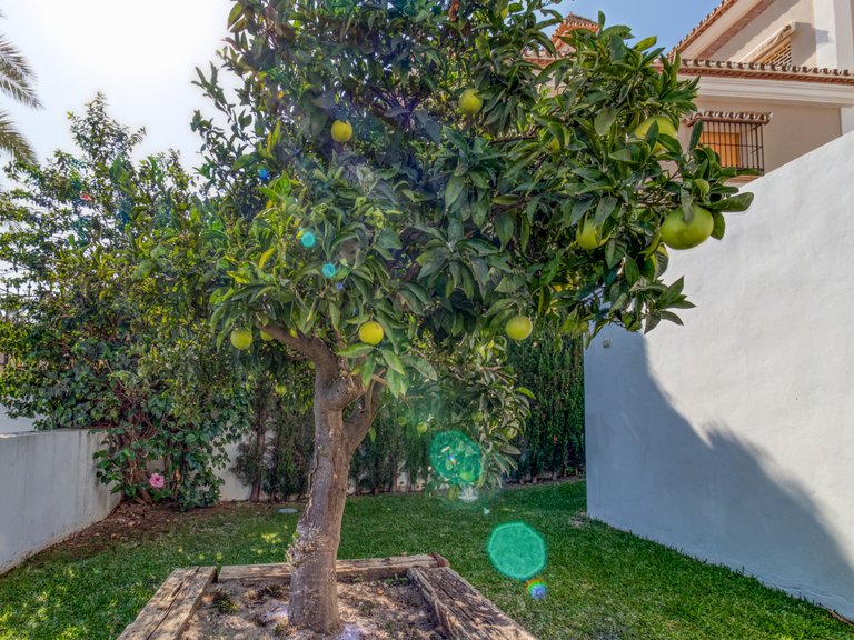 Villa for Sale in Mijas Costa, Malaga 30