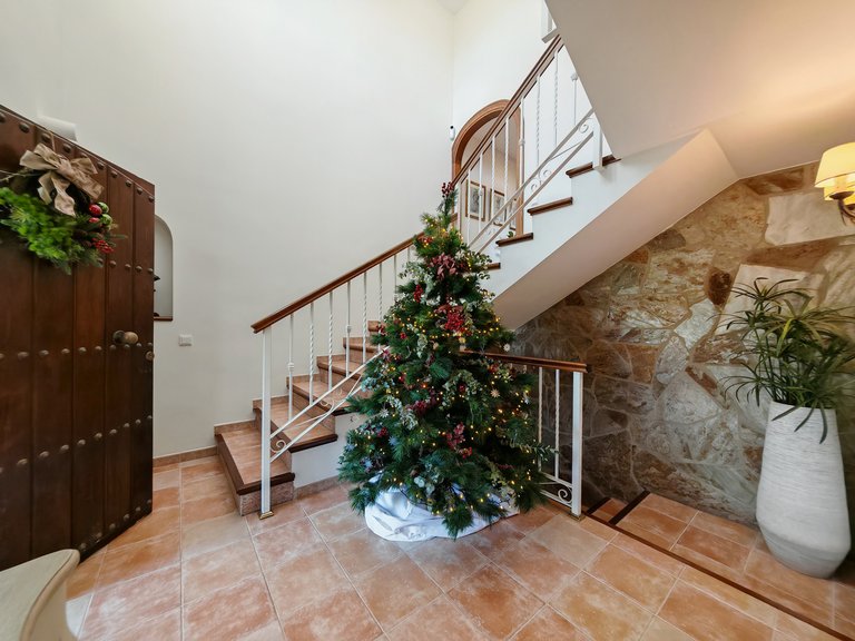 Villa for Sale in Mijas Costa, Malaga 8