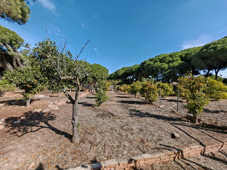 Villa for Sale in Marbella, Malaga 27