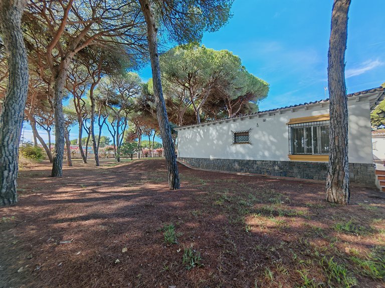 Villa for Sale in Marbella, Malaga 26