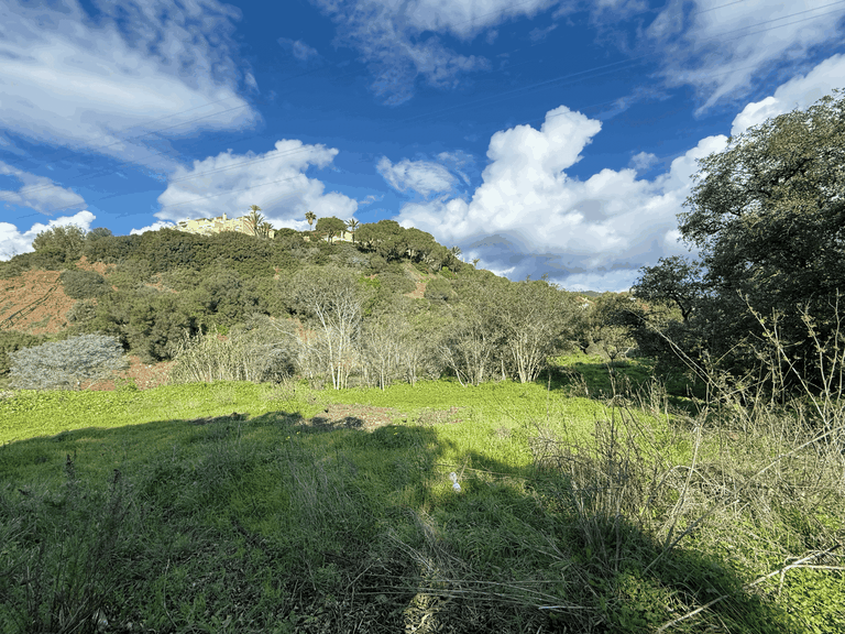 Plot for Sale in Marbella, Malaga 5