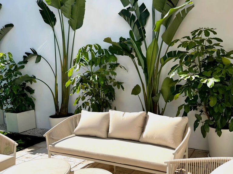 Apartment for Sale in Marbella, Malaga 2