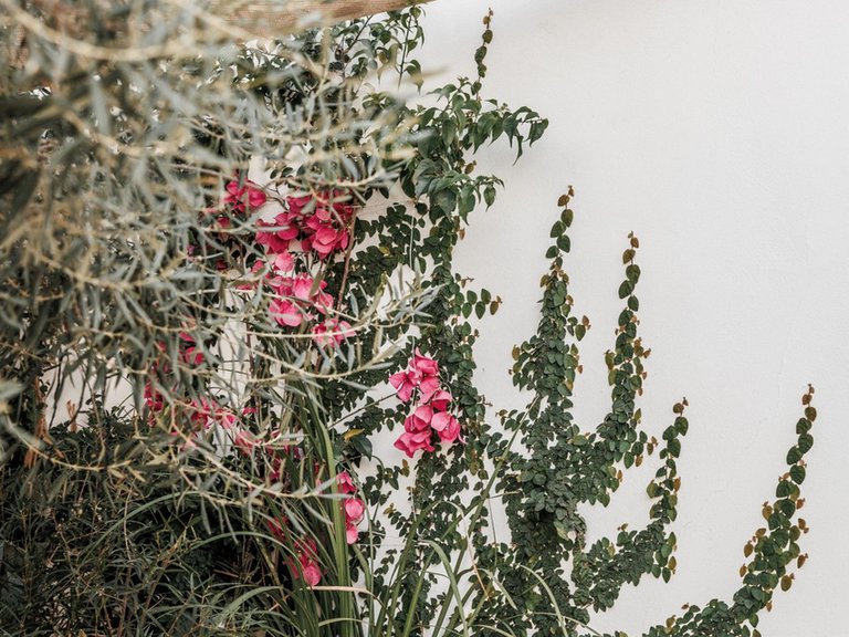 Town House for Sale in Marbella, Malaga 19