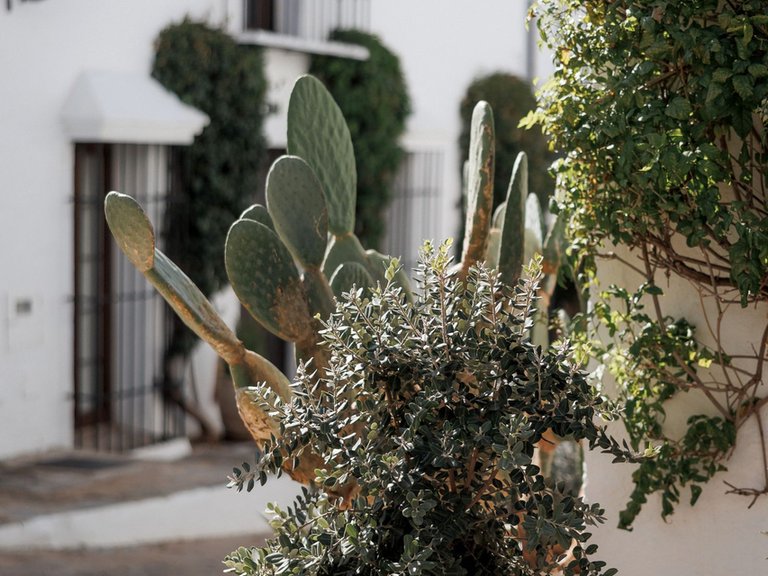 Town House for Sale in Marbella, Malaga 41