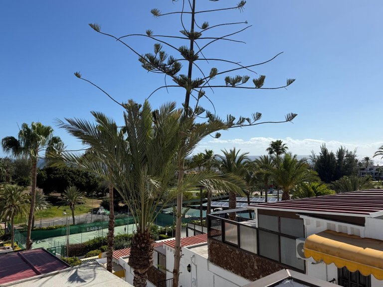 Apartment for Sale in San Bartolomé De Tirajana, Las Palmas 15