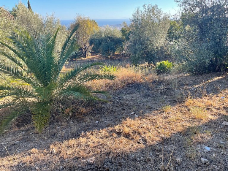 Plot for sale in Mijas, Malaga 5