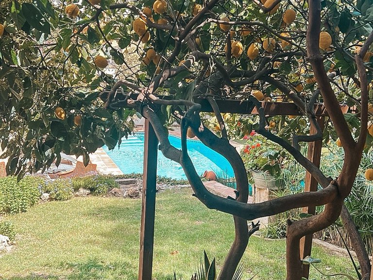 Villa for Sale in Marbella, Malaga 7