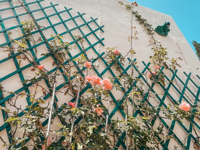 Villa for Sale in Marbella, Malaga 8