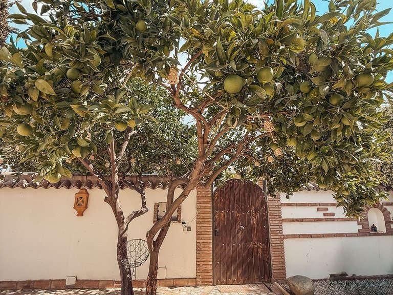 Villa for Sale in Marbella, Malaga 30