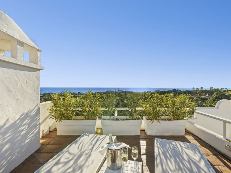 Penthouse for sale 1