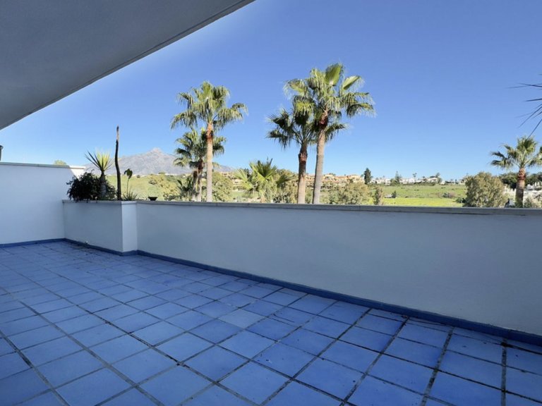 Attractive Investment Opportunity in Nueva Andalucía 6