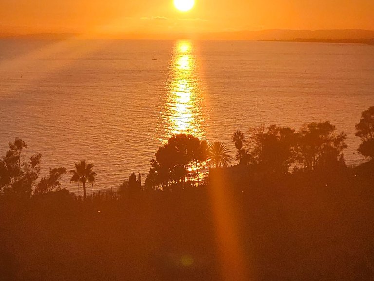 Appartement à vendre 14