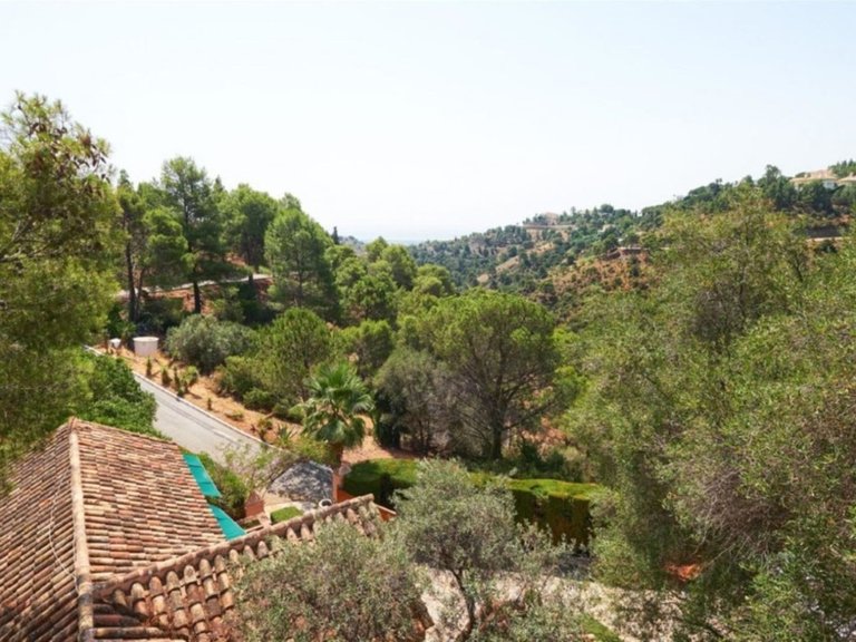 Fristående villa i Benahavís 34