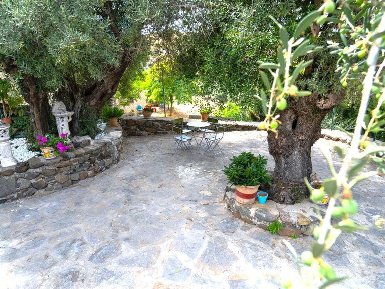 Chalet Independiente en Benahavís 13