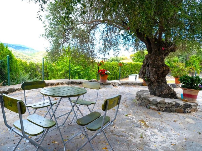 Chalet Independiente en Benahavís 14