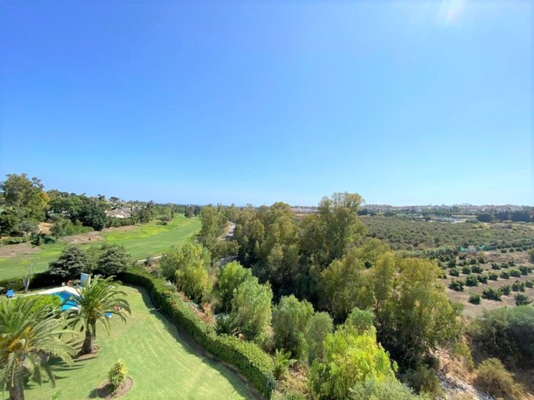 Middle Floor Apartment in Guadalmina Alta 29