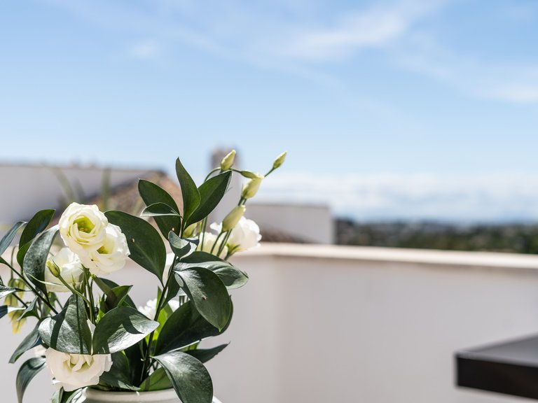 Town House for Sale in Marbella, Malaga 37