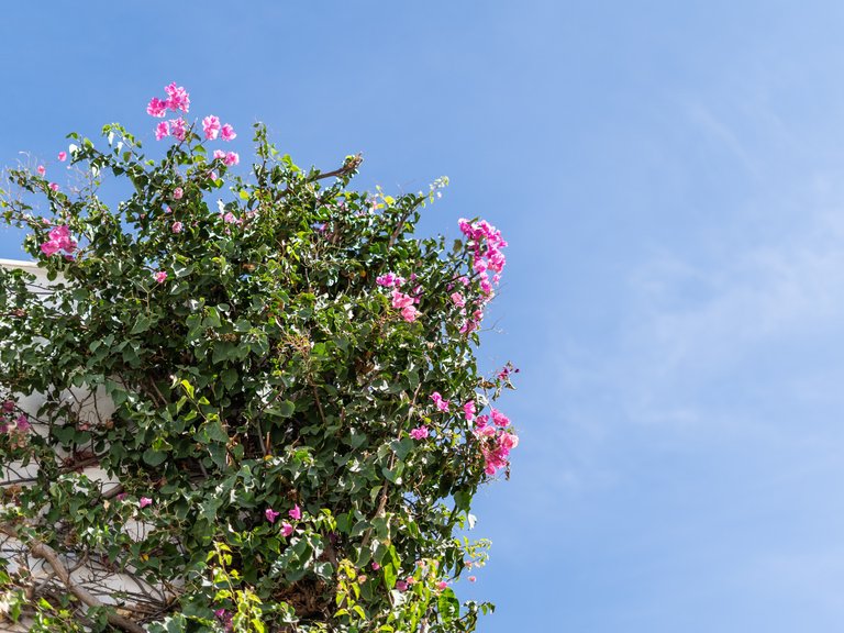 Town House for Sale in Marbella, Malaga 45